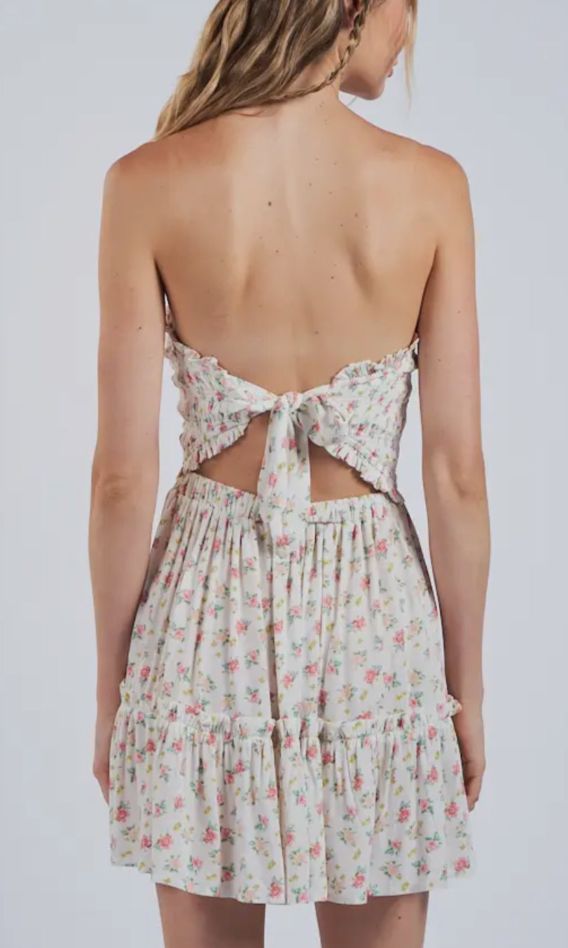 Delray Floral Mini Dress