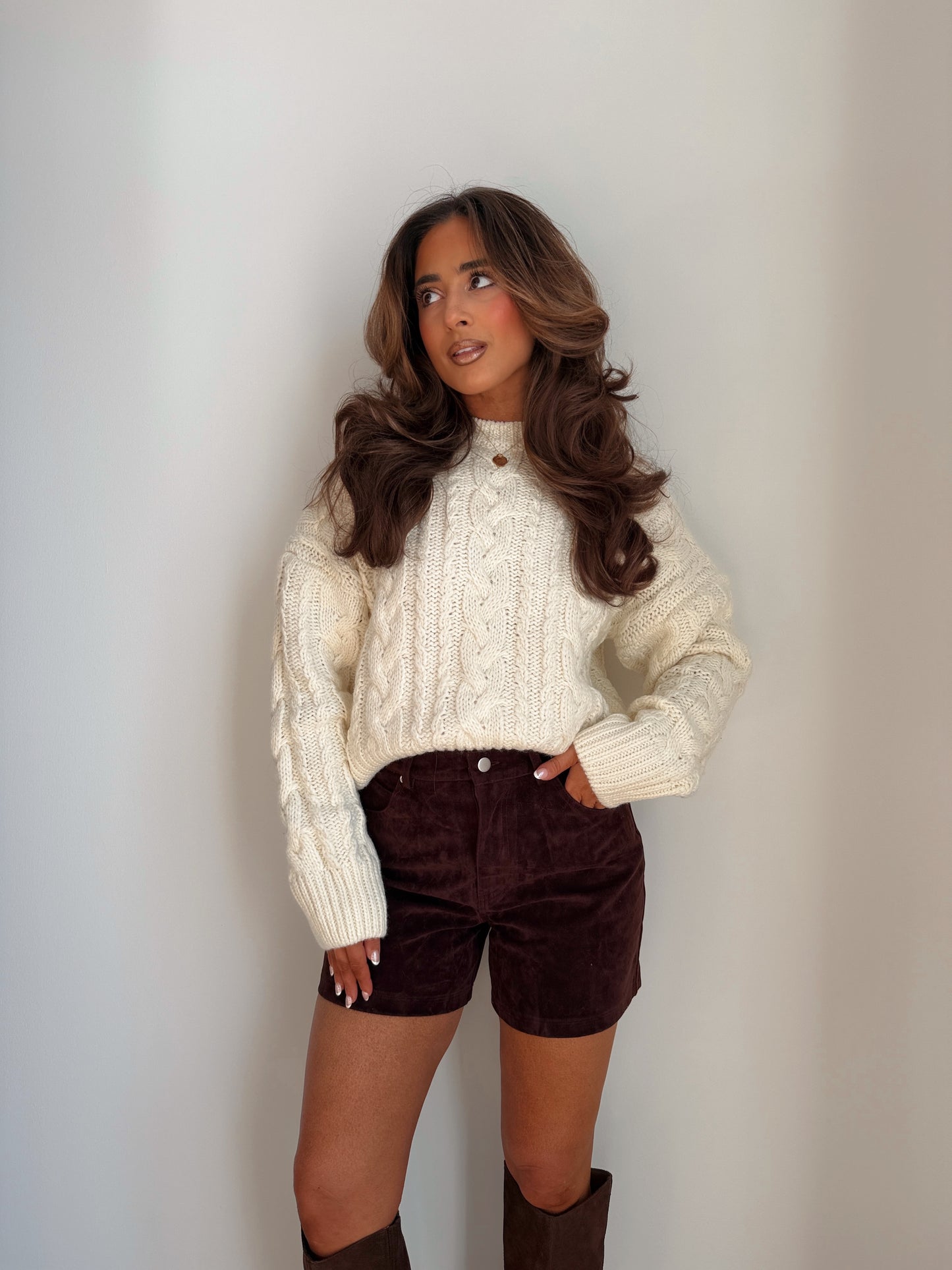 Suede Brown Shorts