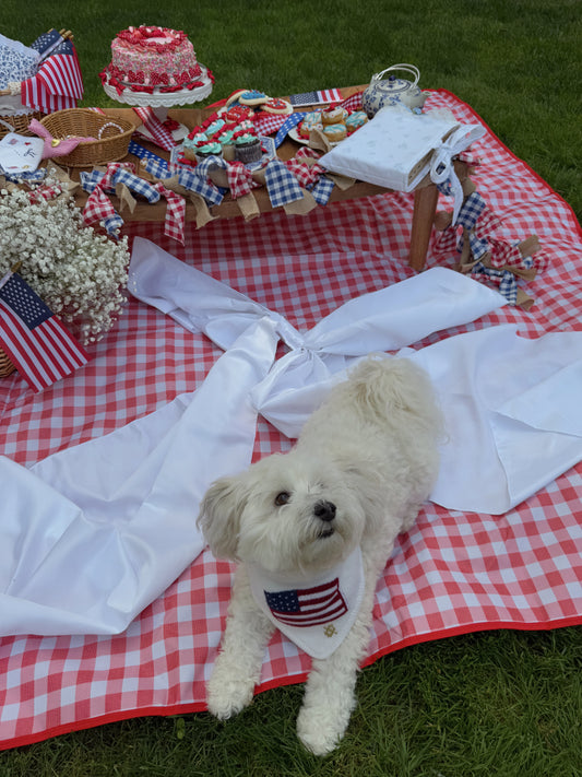 Bow & Stripe Dog BANDANA