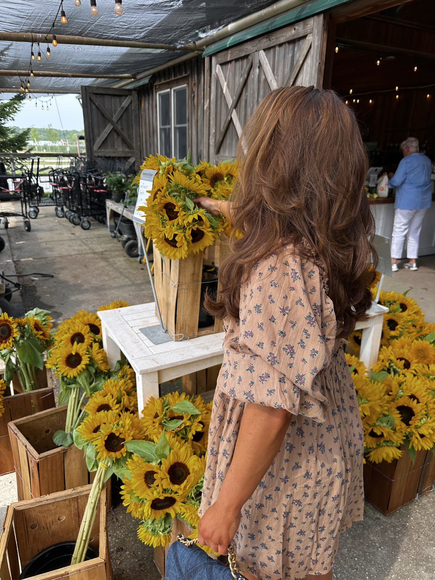 Prairie BOUQUET RUFFLED BABY DOLL MINI DRESS