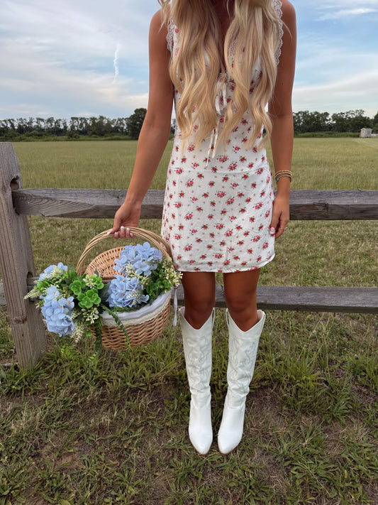 Coastal Cowgirl Mini Dress
