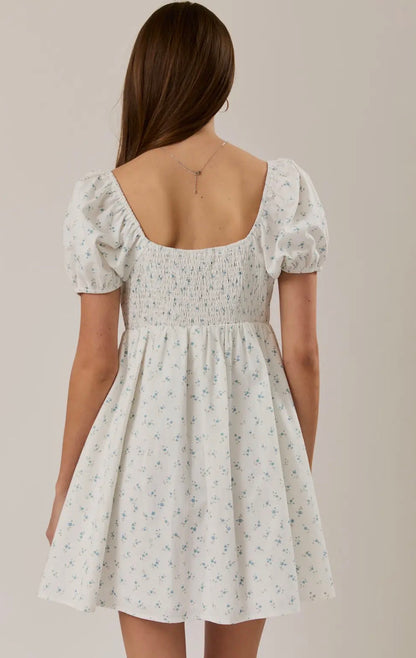 Darling Meadow Mini Dress