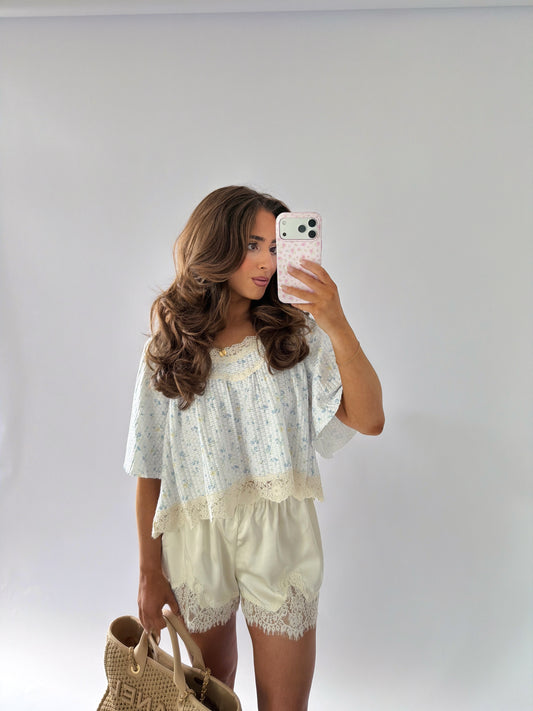 Seaside Hydrangea Top Restock