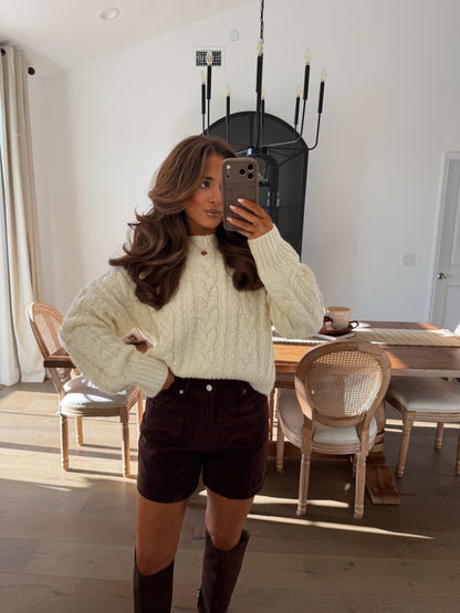 Suede Brown Shorts