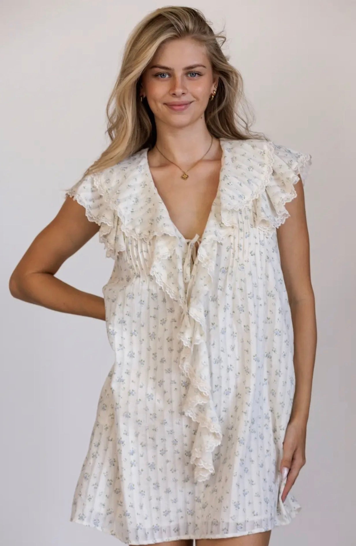 Frosted Love Floral Mini Dress