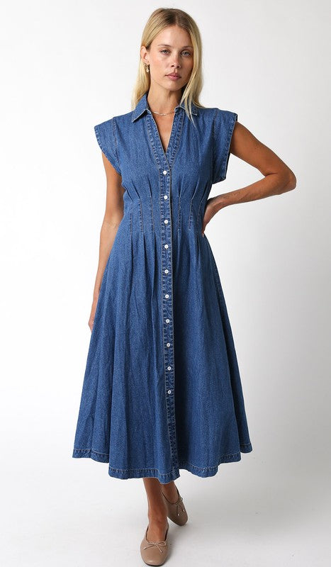 Jacey Denim button down dress