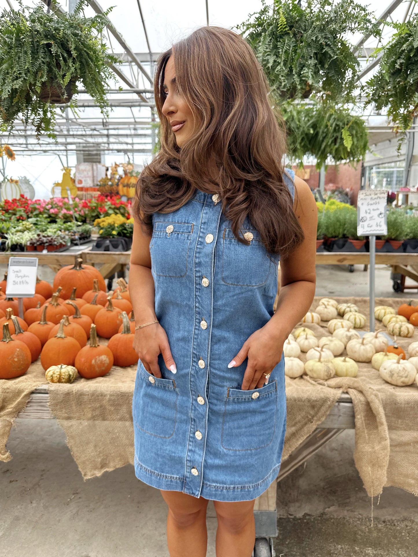 Denim Dreams Mini Dress