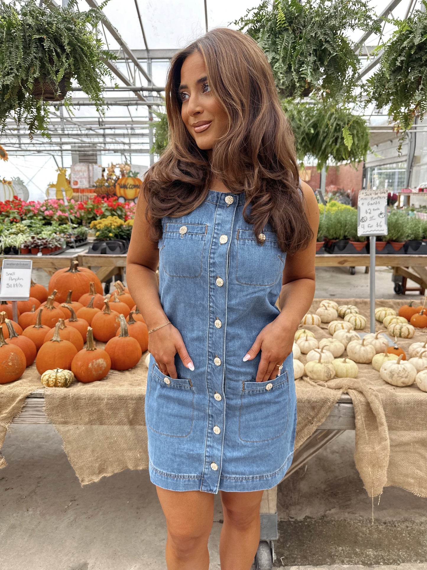 Denim Dreams Mini Dress