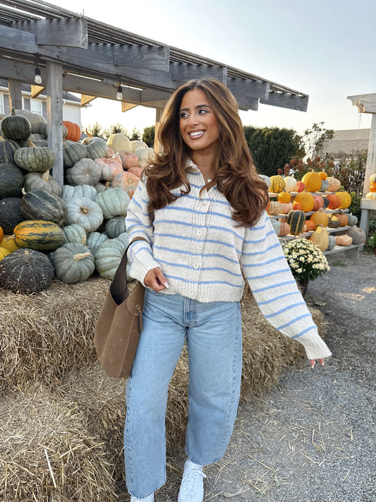 SKY BUTTONDOWN STRIPED KNITTED CARDIGAN